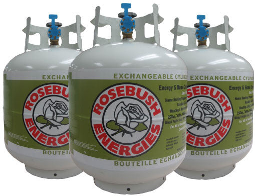 30lb Propane Cylinder BBQ