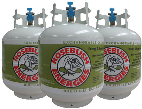 30lb Propane Cylinder BBQ